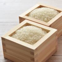 日本人はアメリカの陰謀で米を食べなくなったのか？